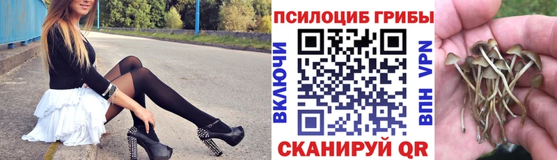 как найти закладки  Новосиль  Псилоцибиновые грибы Psilocybine cubensis 